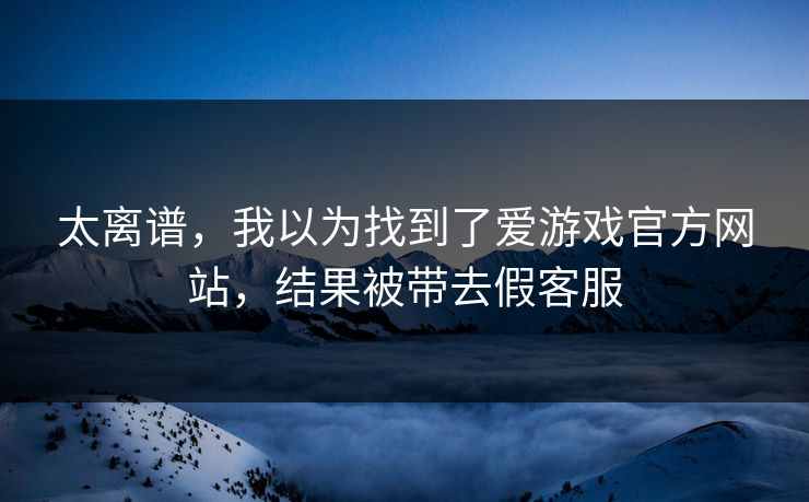 太离谱，我以为找到了爱游戏官方网站，结果被带去假客服