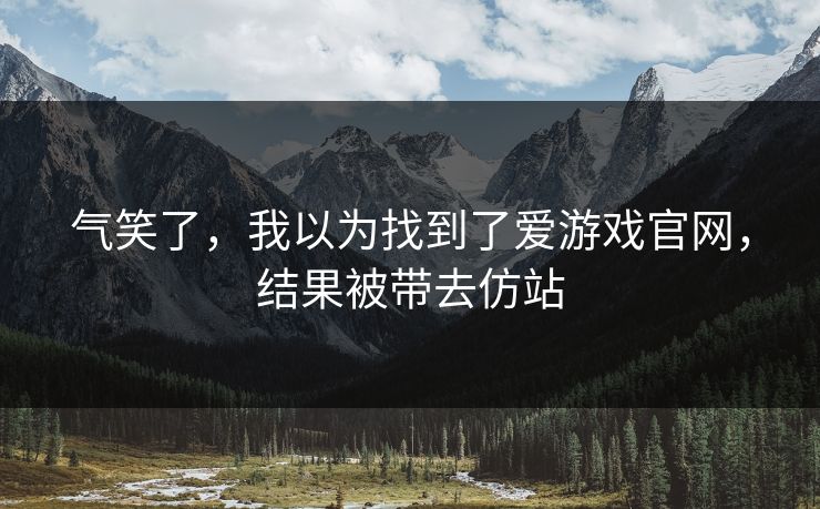 气笑了，我以为找到了爱游戏官网，结果被带去仿站