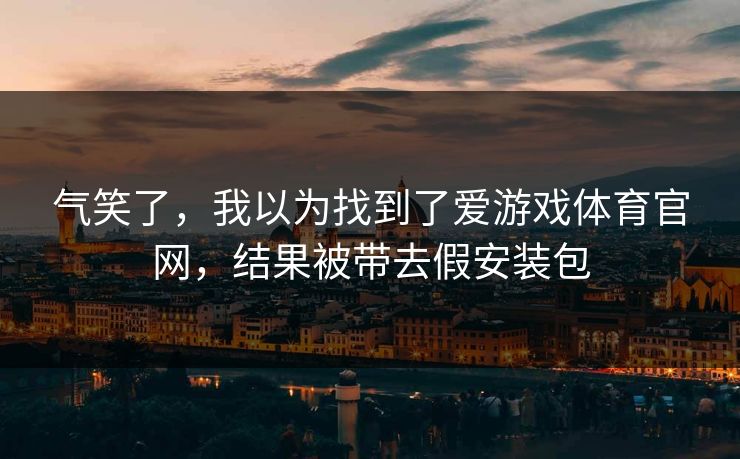 气笑了，我以为找到了爱游戏体育官网，结果被带去假安装包