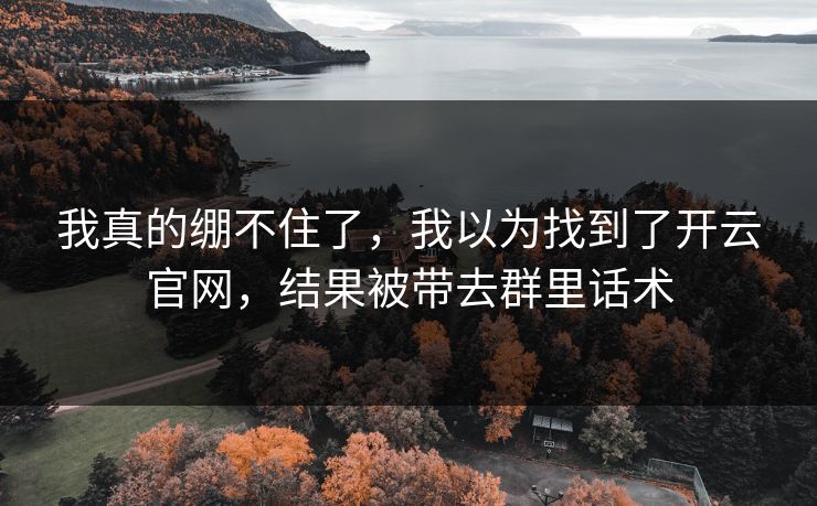 我真的绷不住了，我以为找到了开云官网，结果被带去群里话术