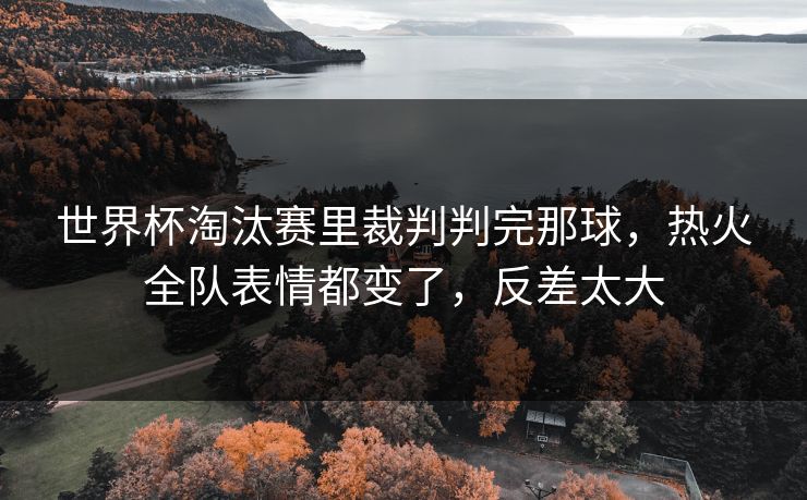 世界杯淘汰赛里裁判判完那球，热火全队表情都变了，反差太大
