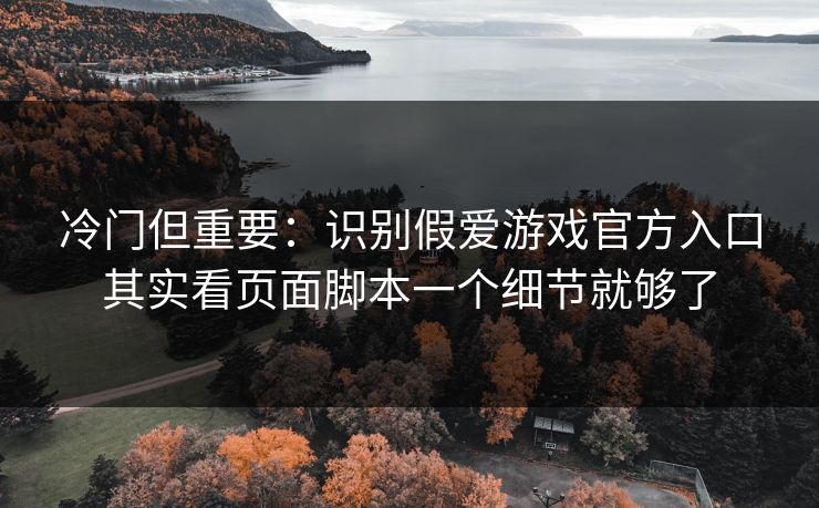 冷门但重要：识别假爱游戏官方入口其实看页面脚本一个细节就够了